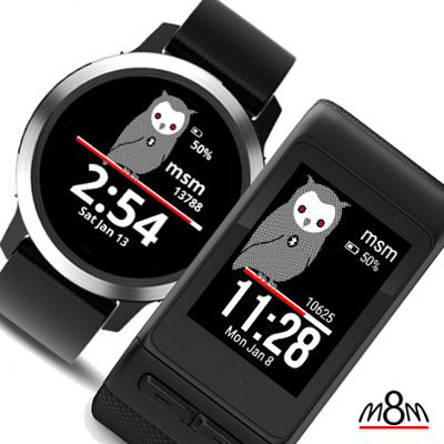 garmin